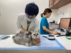 -美联众合动物医院·24h转诊中心