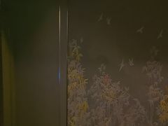 -陆琴脚艺·足浴·SPA(夫子庙店)
