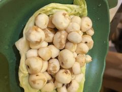 -润园四季椰子鸡火锅(海上世界店)