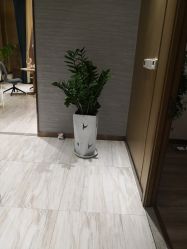点击看大图 -苑苑vbeauty科技美容SPA