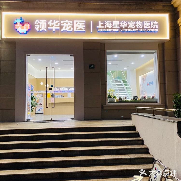 领华宠医·星华宠物医院|医生和环境都非常靠谱的连锁宠物🏥