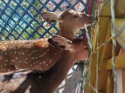 -萌宠亲子动物乐园(槐房万达店)