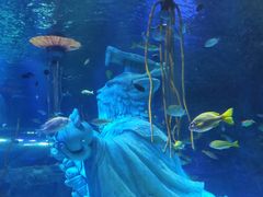 -沈阳海洋探索中心