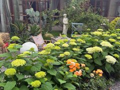 -Jo's Garden