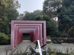 -塔子山公园