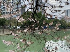 -红星桥(地铁站)
