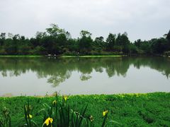 -桤木河湿地公园