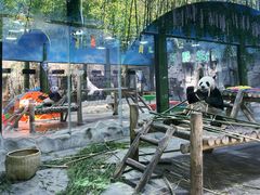 -栾川竹海野生动物园