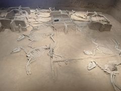 -洛阳周王城天子驾六博物馆