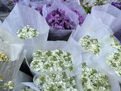 -循礼门鲜花花市(武汉循礼门店)