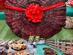-长春农业博览园
