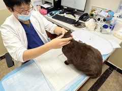 -美联众合动物医院·24h转诊中心