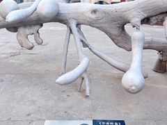 -嵩祝寺及智珠寺