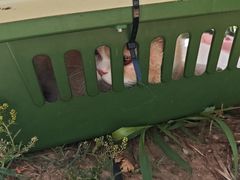 -纳吉亚猫专科动物医院·北北分院