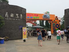 -秀丽东方