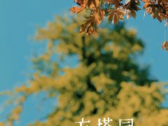 -常熟方塔园