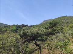 -香山公园