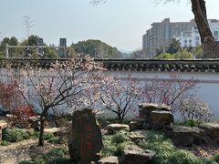 -无锡梅园公园
