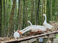 -太湖源风景区