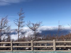 -富士山吉田線五合目