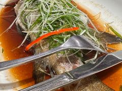 咸肉蒸鱼-金鮀岛潮州酒家