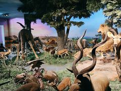 -国家自然博物馆