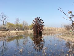 -泗洪洪泽湖湿地景区