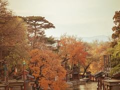 -颐和园