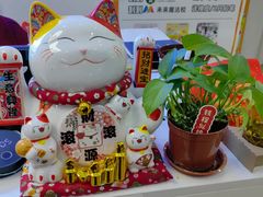 -凤凰机器人乐高编程活动中心(星湖校区)