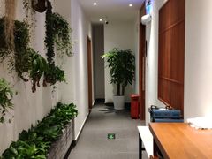 -丹江渔村(望京店)