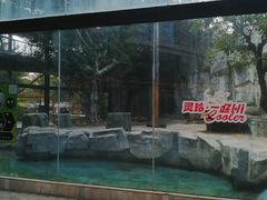 -灵玲国际马戏城