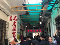 -老妈宫粽球