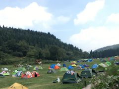-武陵山森林公园