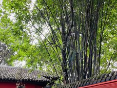 -成都武侯祠博物馆