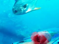 -瑞德姆美人鱼海底演艺主题餐厅(亚龙湾店)