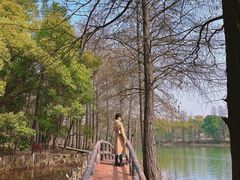 -东湖落雁景区