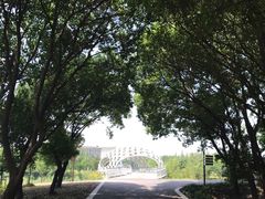 -同里国家湿地公园