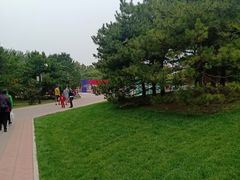 -朝阳公园游乐园