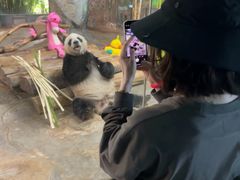 -海南热带野生动植物园