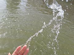 -后柳水乡