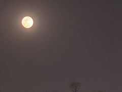 -螃蟹岬(地铁站)