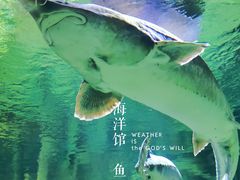 -华夏文旅海洋公园