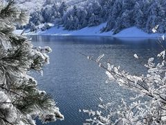 -济州山房山碳酸温泉