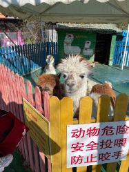 -萌宠亲子动物乐园(槐房万达店)