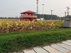 -嘉北郊野公园