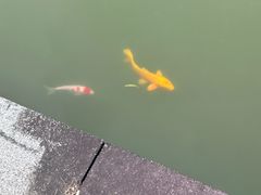 -陈武帝故宫