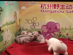-杭州野生动物世界