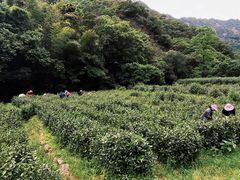 -雁荡山风景名胜区
