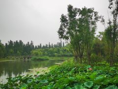 -东郊湿地公园