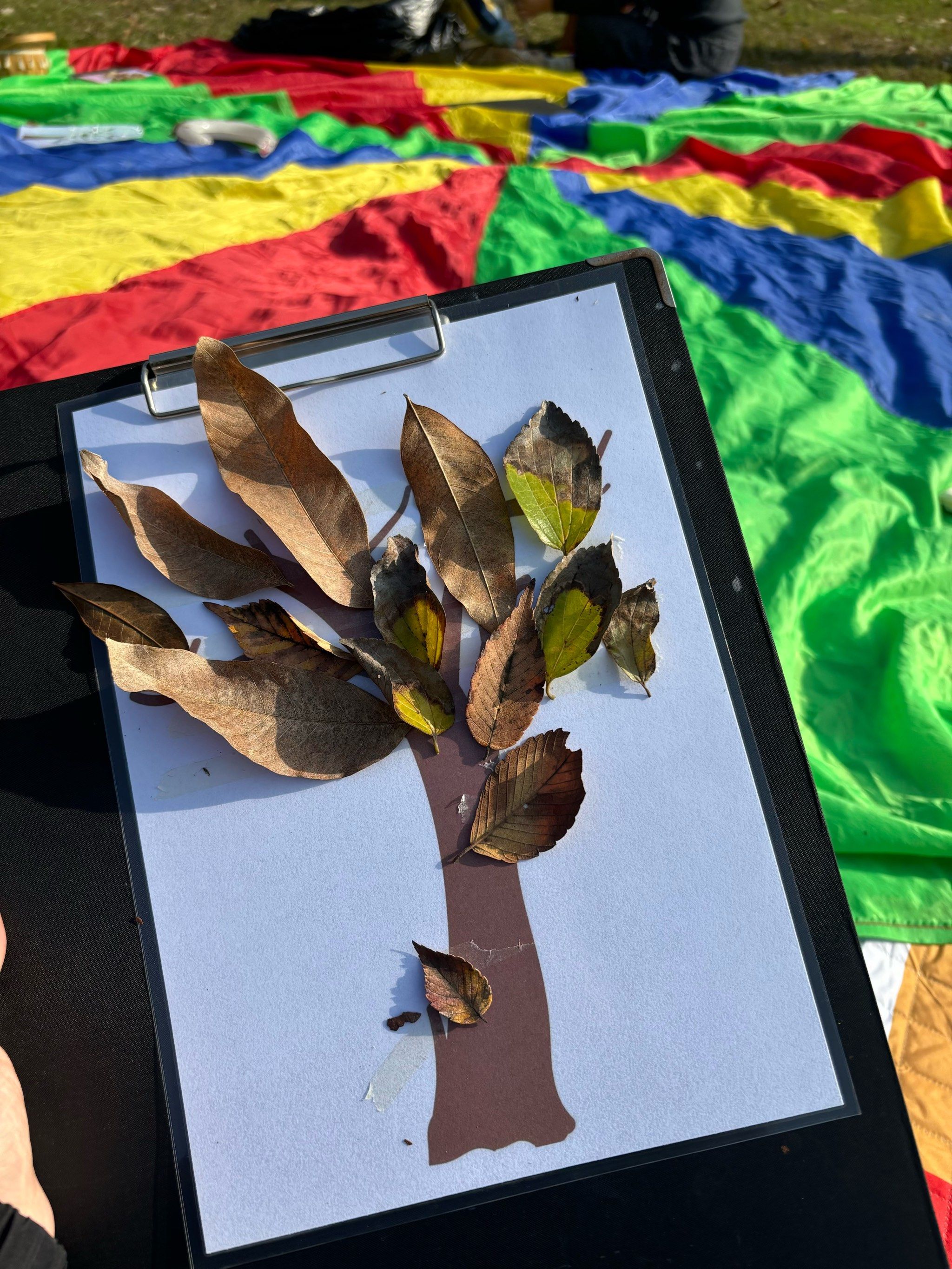 彩虹风筝飞满天